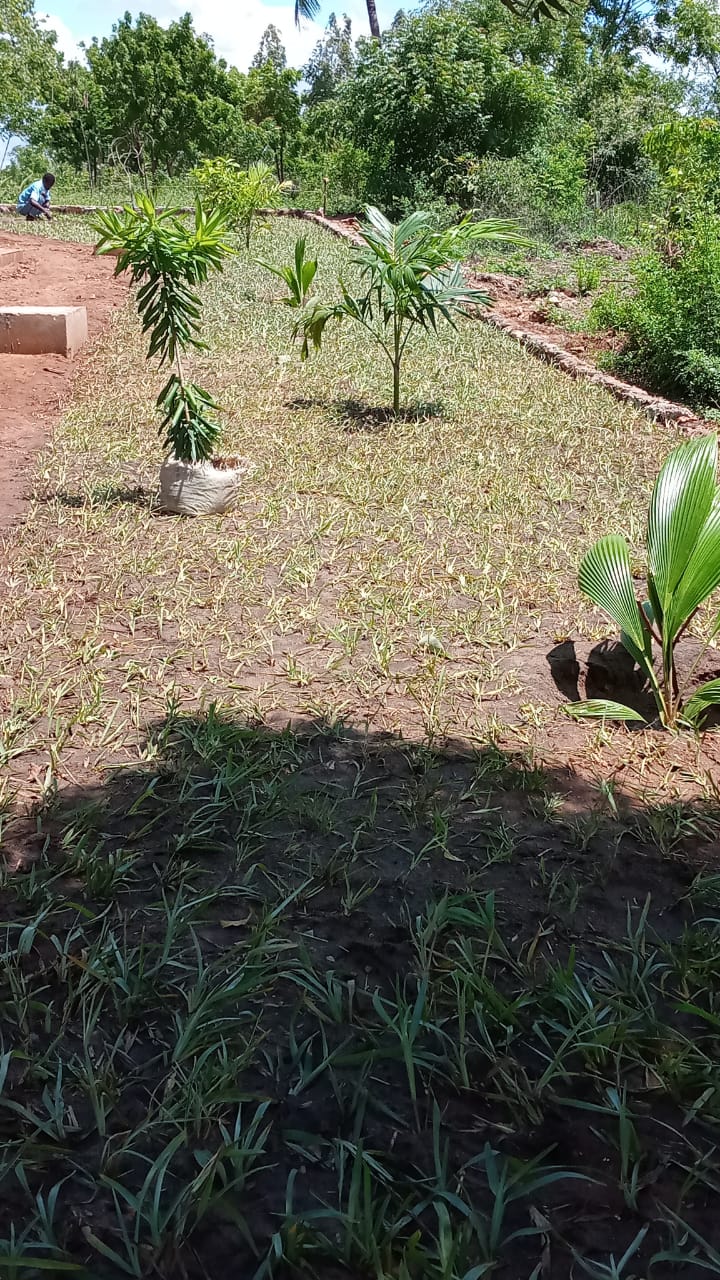 Landscaping preparation and planning